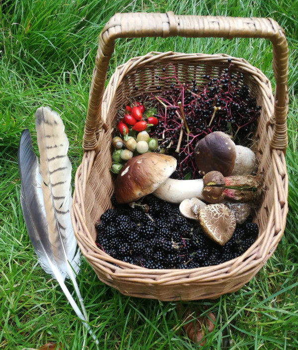 Foraging Basket with forest fruits and fungi